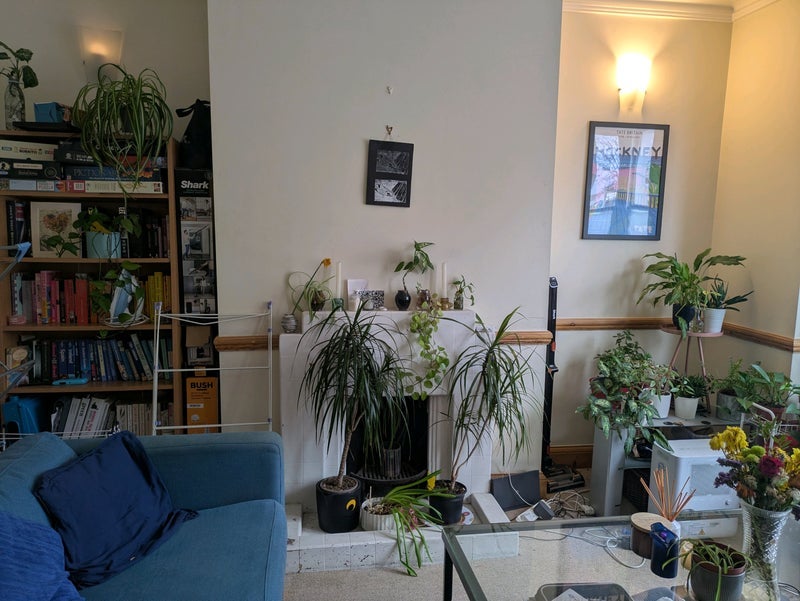 Room Milkwood Road in Greater London