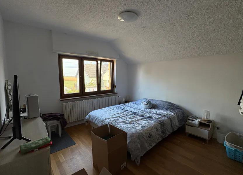 House Rue Principale in Uttenheim