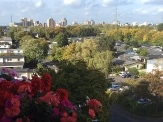 Wohnung Palmenweg in Köln