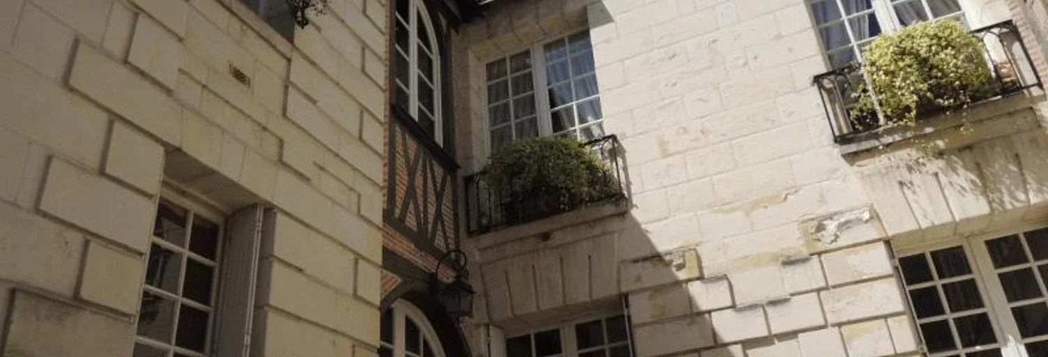 Flat Rue des Cerisiers in Tours
