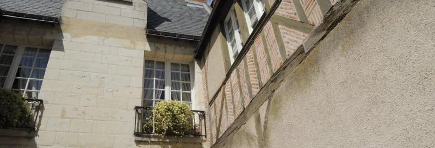 Flat Rue des Cerisiers in Tours