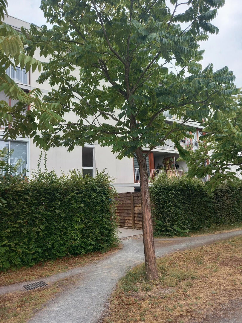 Maison Allée de la Morinais à Saint-Jacques-de-la-Lande