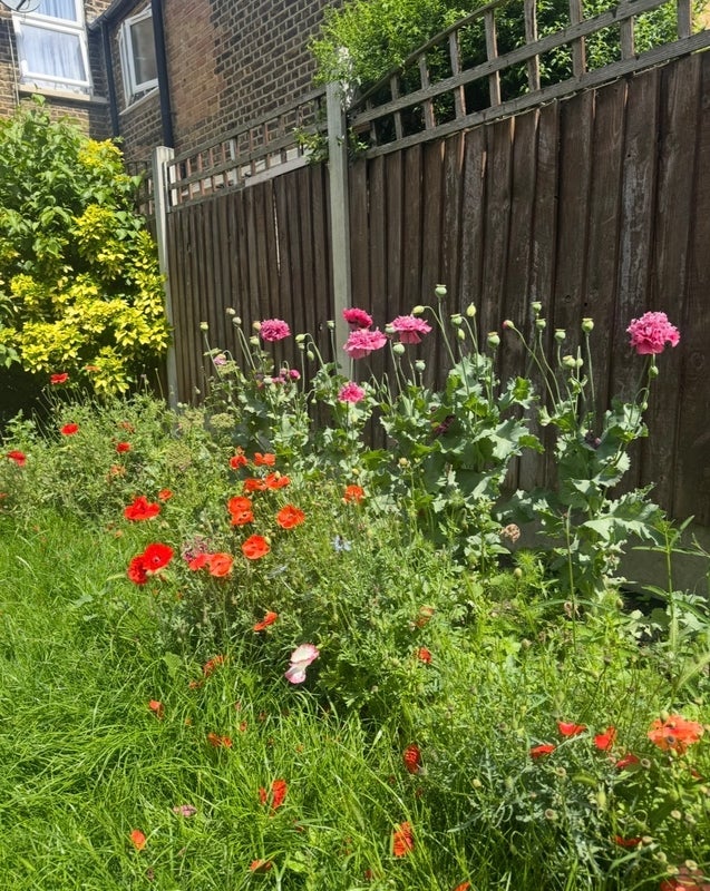 Room Colegrave Road in Greater London