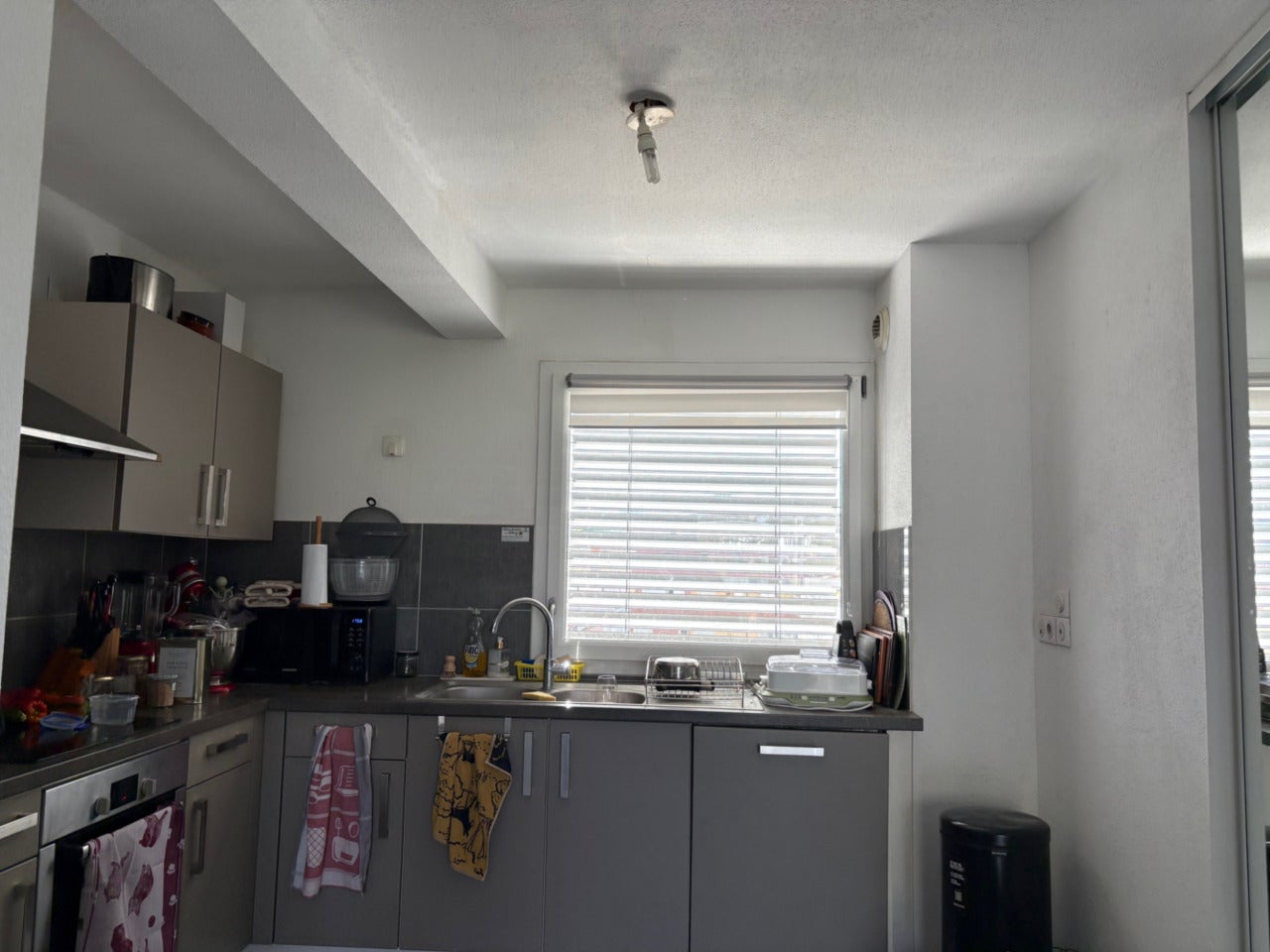 Flat Rue de la Laine in Colmar