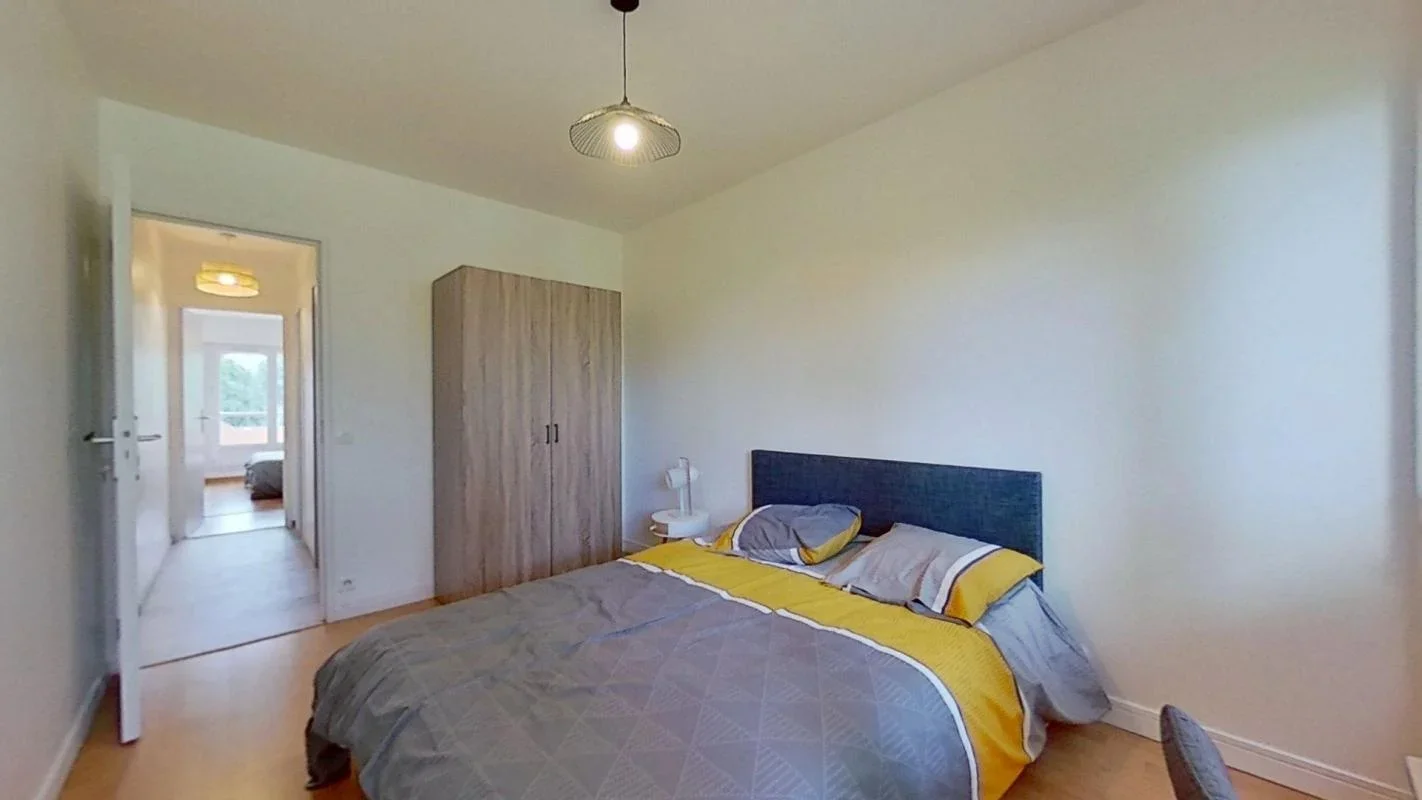 Chambre Rue Professeur Patel à Lyon