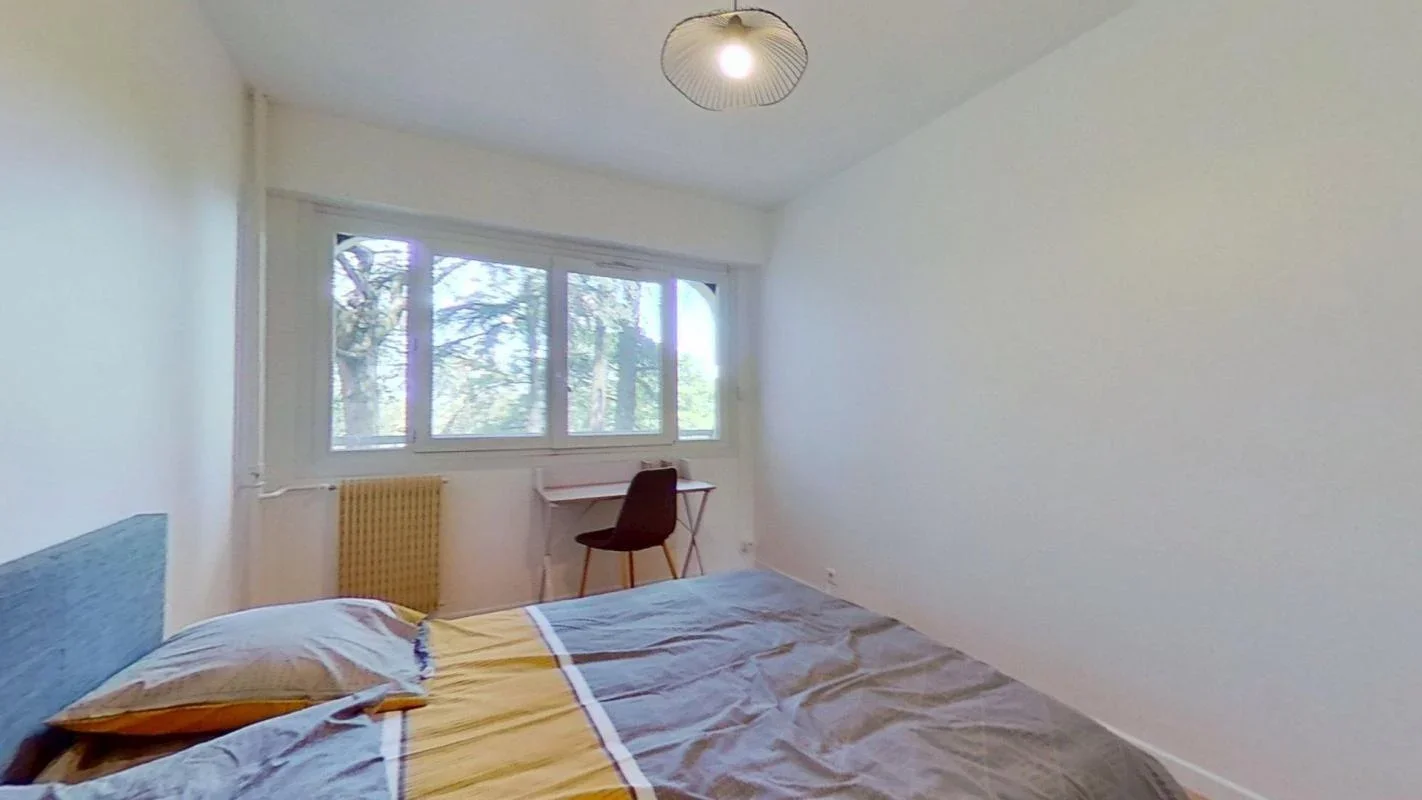 Chambre Rue Professeur Patel à Lyon