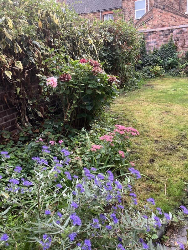 Room Hartshill Road in Stoke-on-Trent