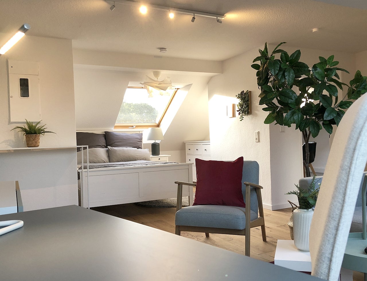 Wohnung Alter Markt in Köln