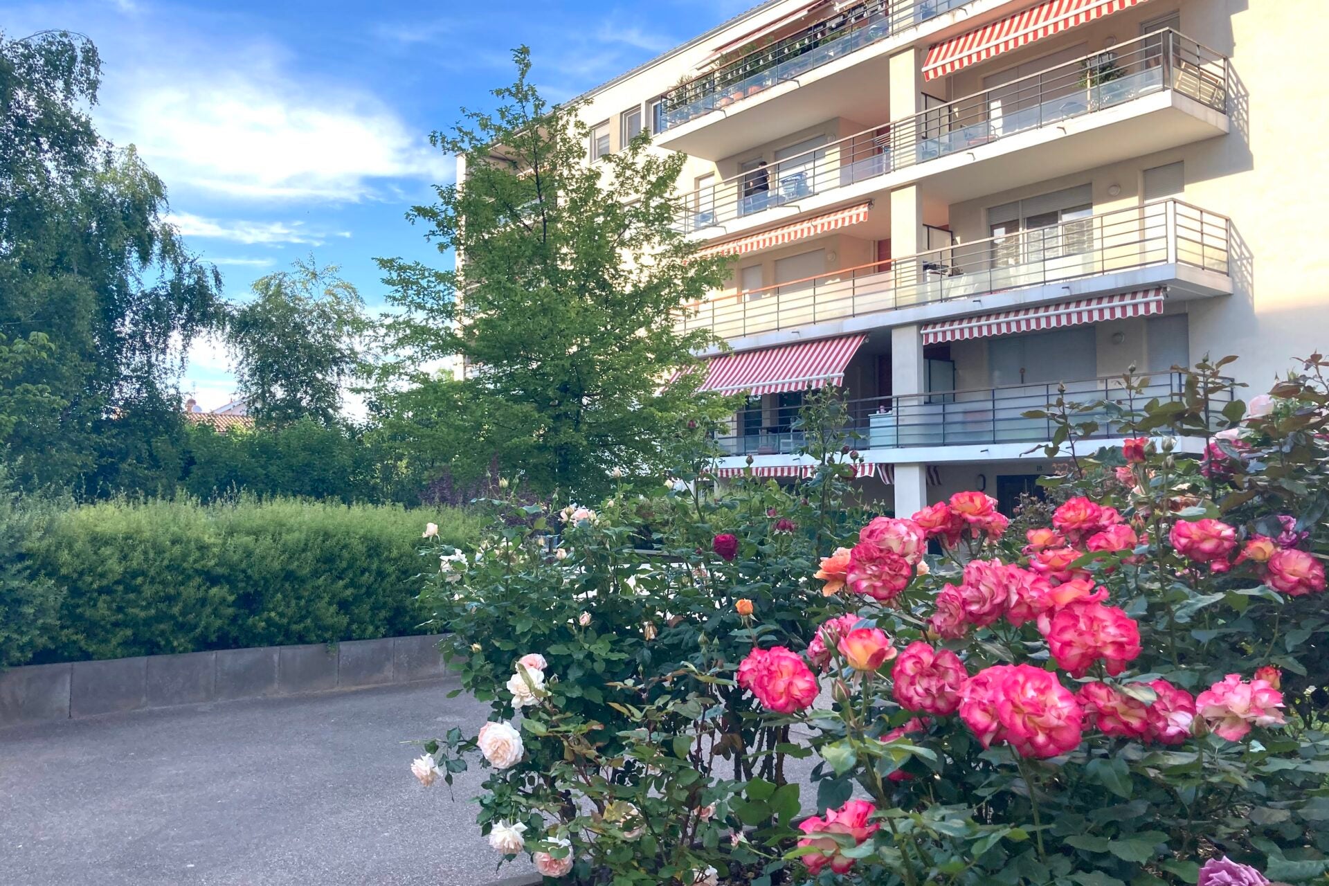 Flat Rue Bugeaud in Lyon