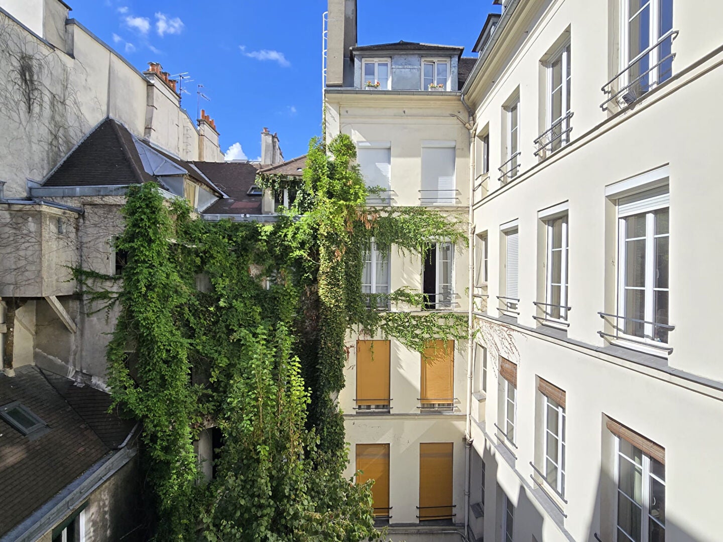 Appartement Rue des Canettes à Paris