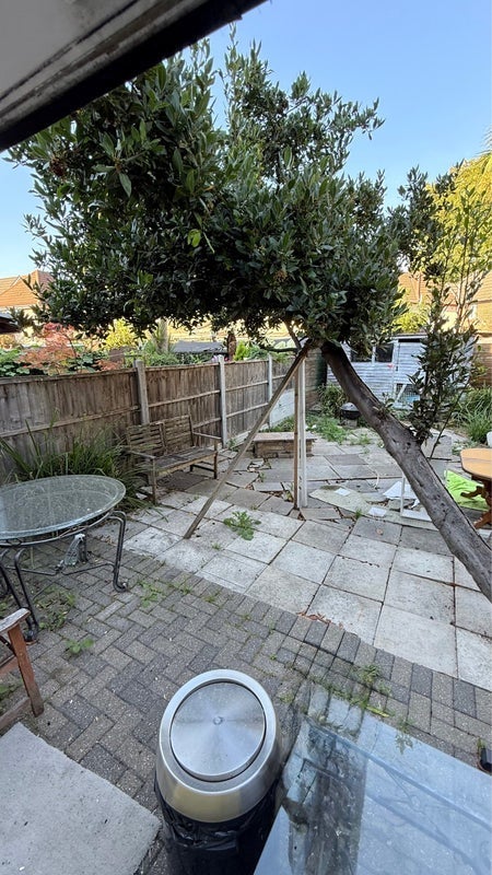 House Botha Road in Greater London