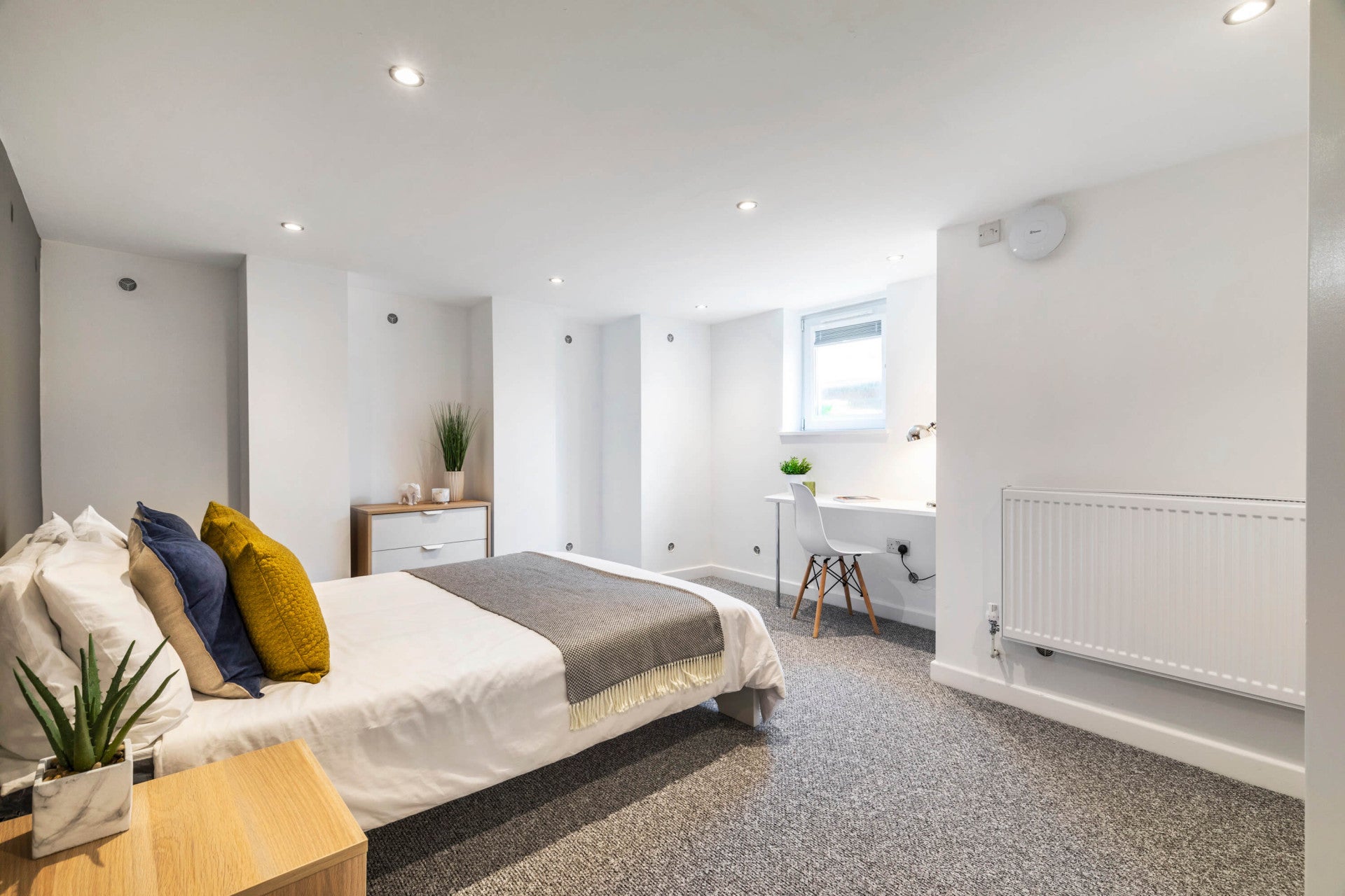 Room Graham Grove in Leeds