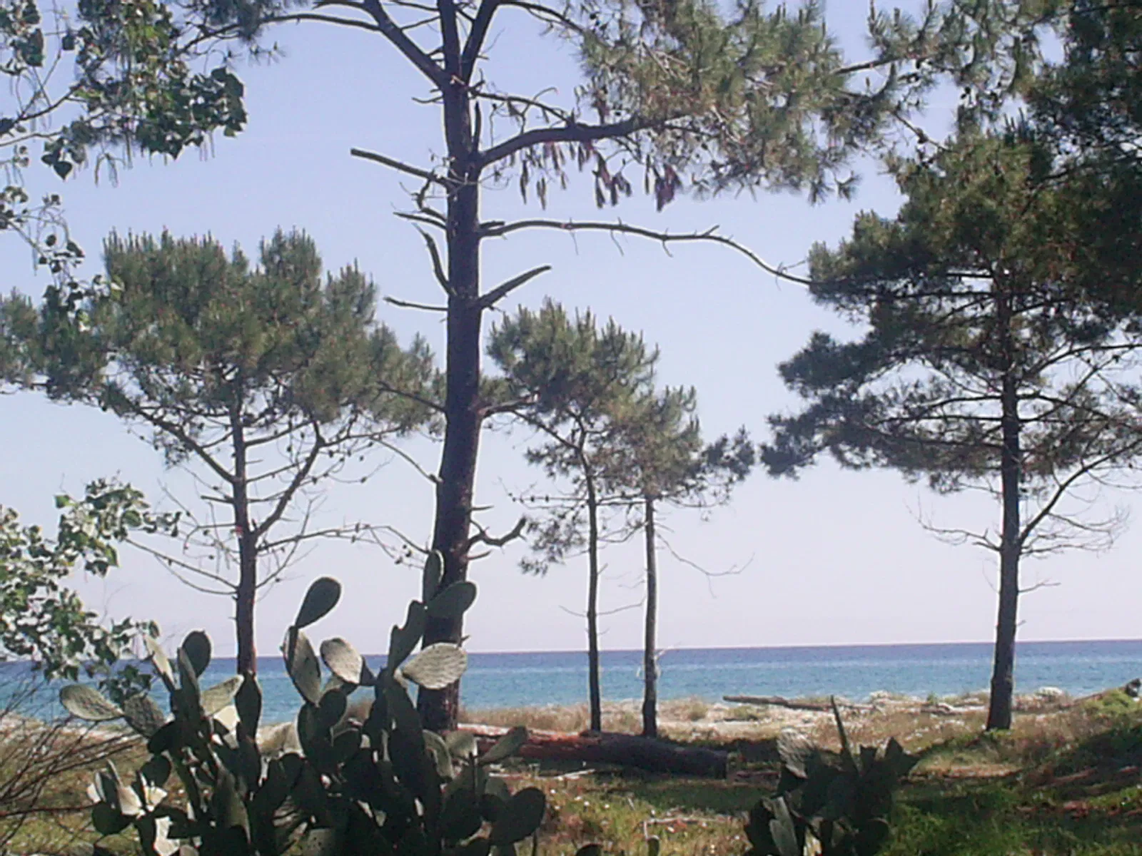 Flat Lotissement U Stagnu in Borgo