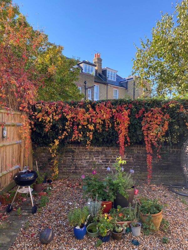 Room Montholme Road in Greater London