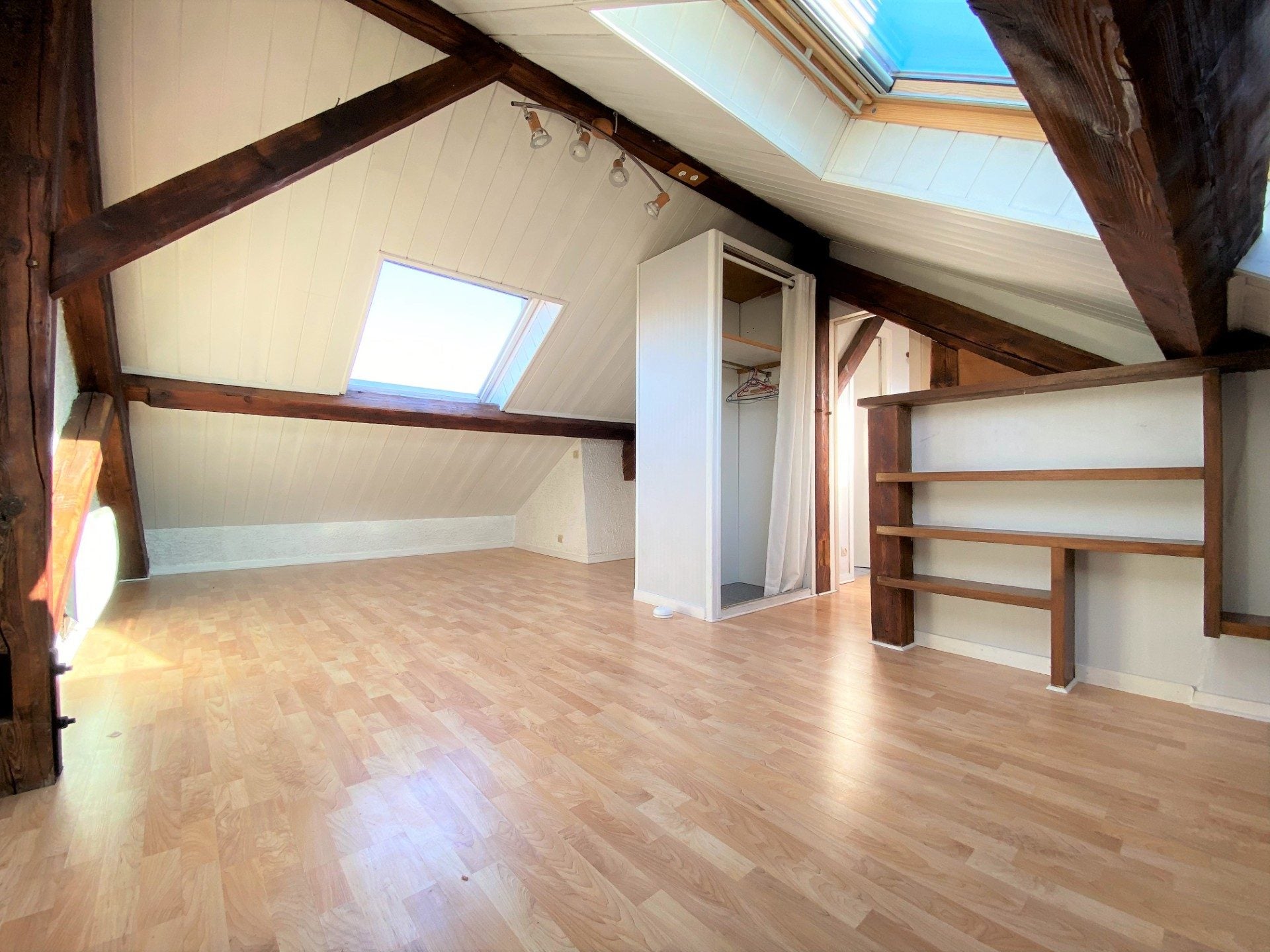 Flat Esplanade Andry-Farcy in Grenoble