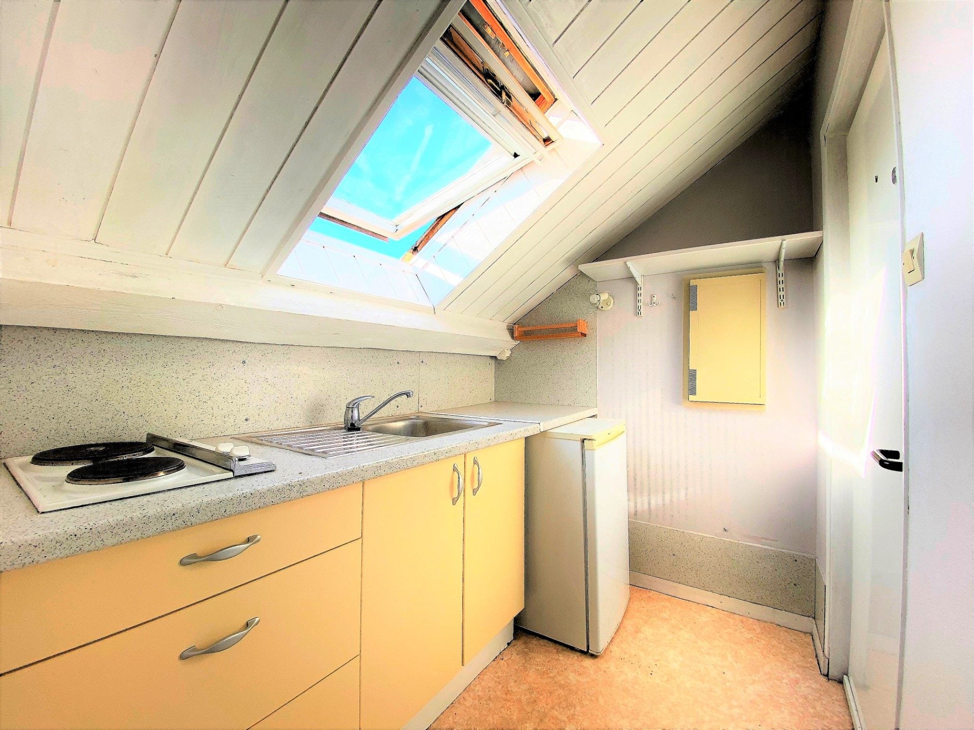 Flat Esplanade Andry-Farcy in Grenoble