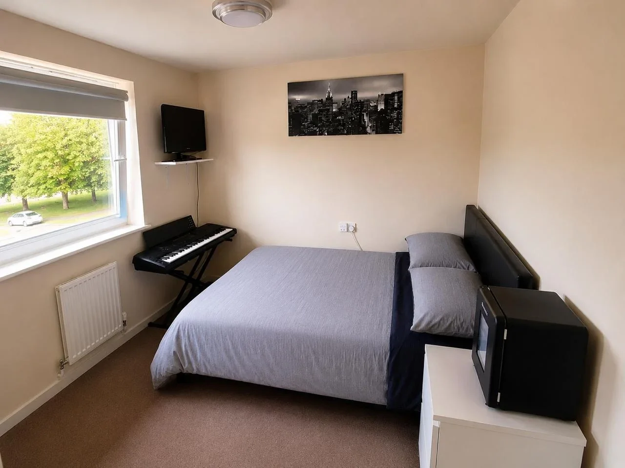 Room Torkildsen Way in Harlow