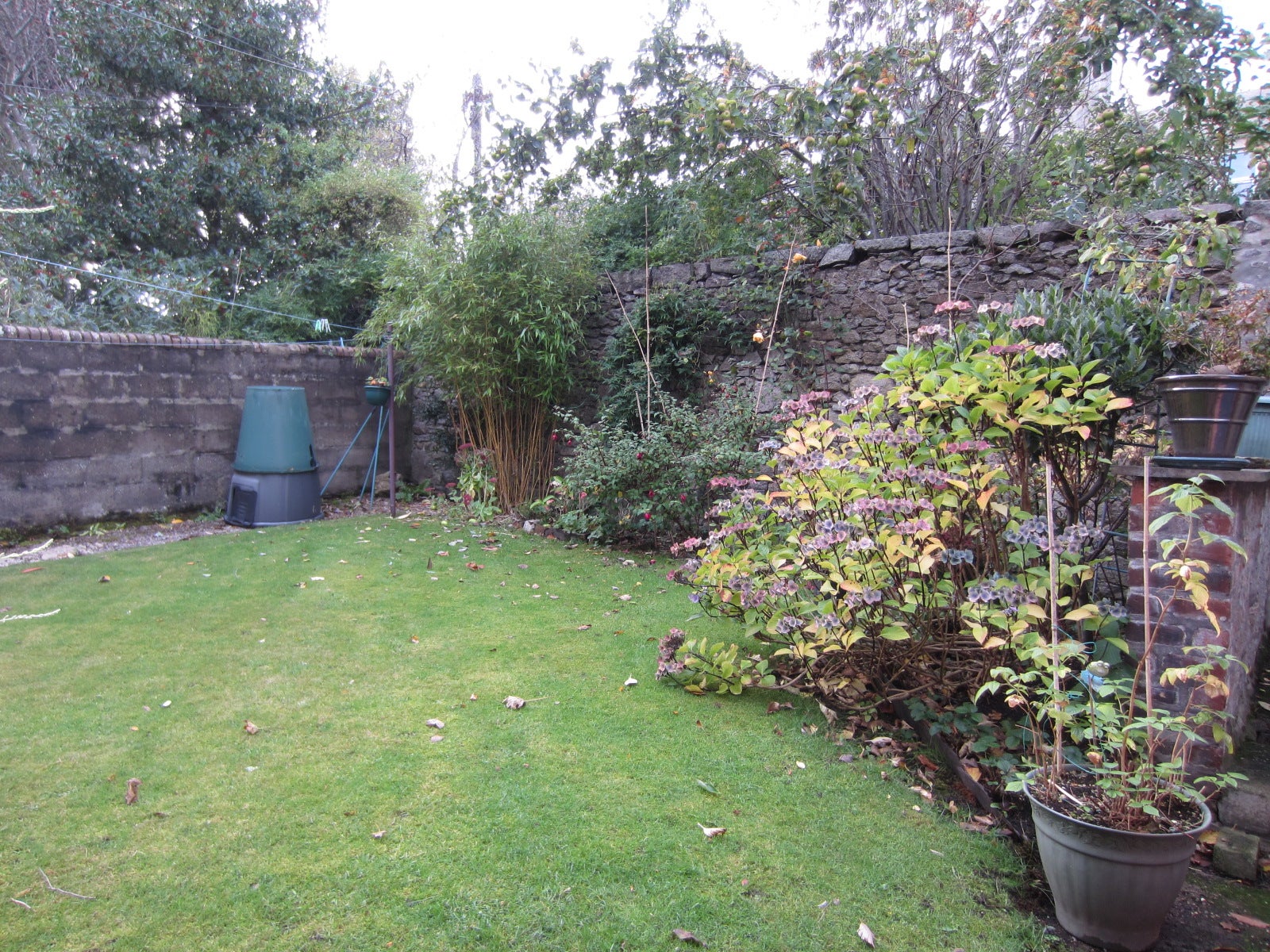 Flat Wallfield Place in Aberdeen City