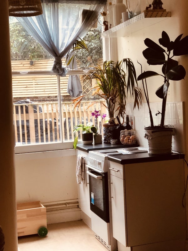 Room Queens Down Road in Greater London