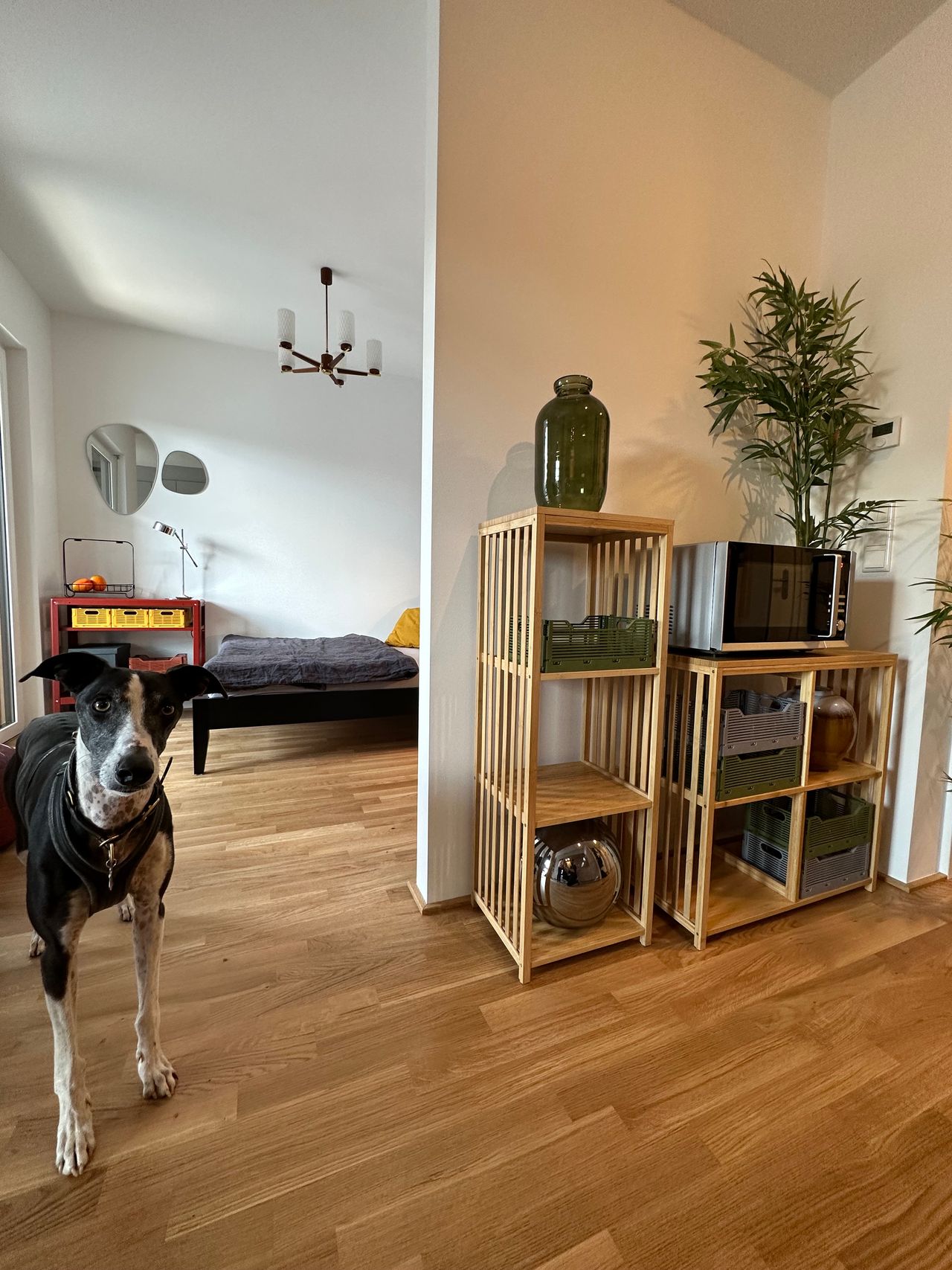 Wohnung Alt-Griesheim in Frankfurt am Main