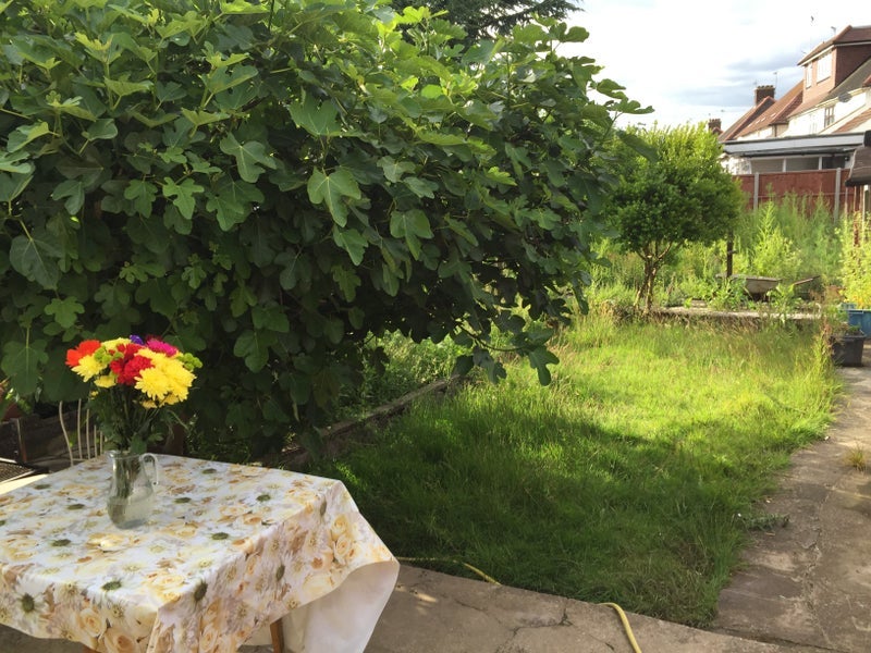 House Summers Lane in Greater London
