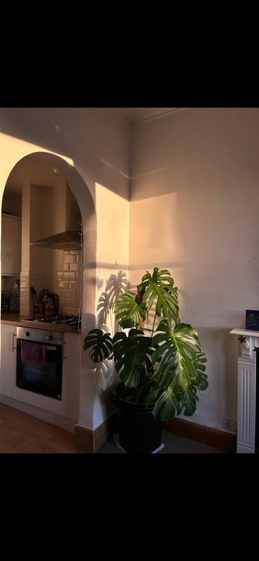 Room Sciennes in City of Edinburgh