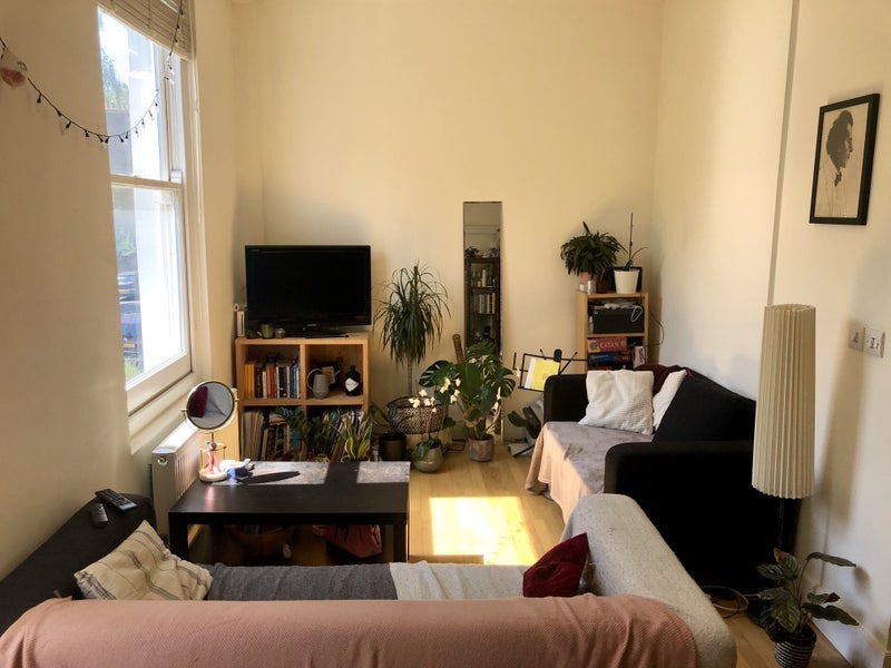 Room Cardozo Road in Greater London