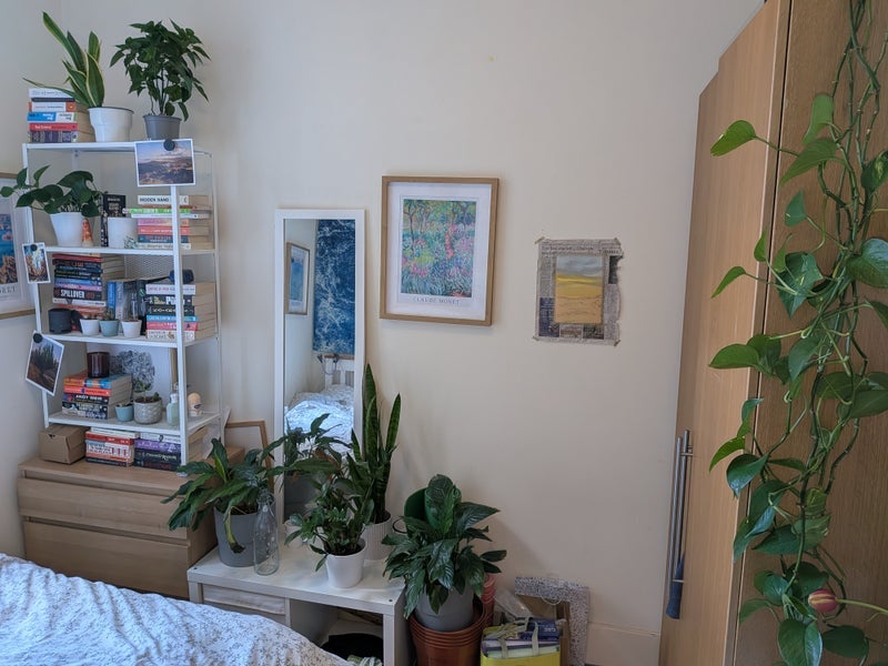 Room Cardozo Road in Greater London