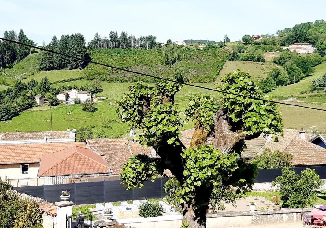 Appartement Chemin Saint-Laurent à Thizy-les-Bourgs
