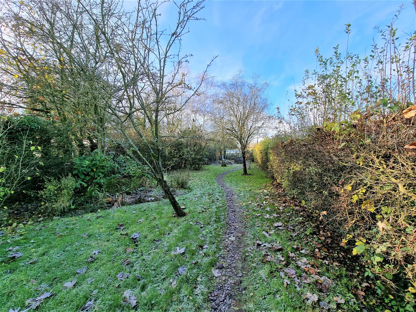 House Frogs Hall Road in Babergh