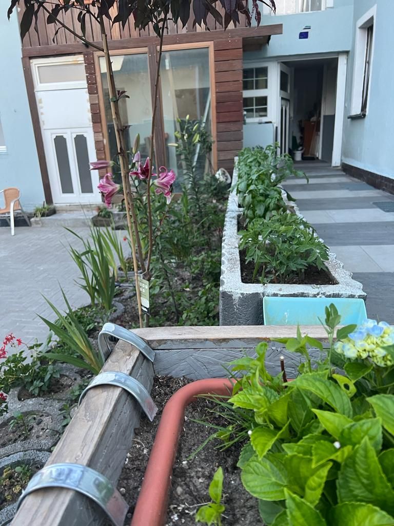 Wohnung Berliner Straße in Lauchhammer