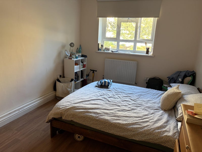 Room Fount Street in Greater London