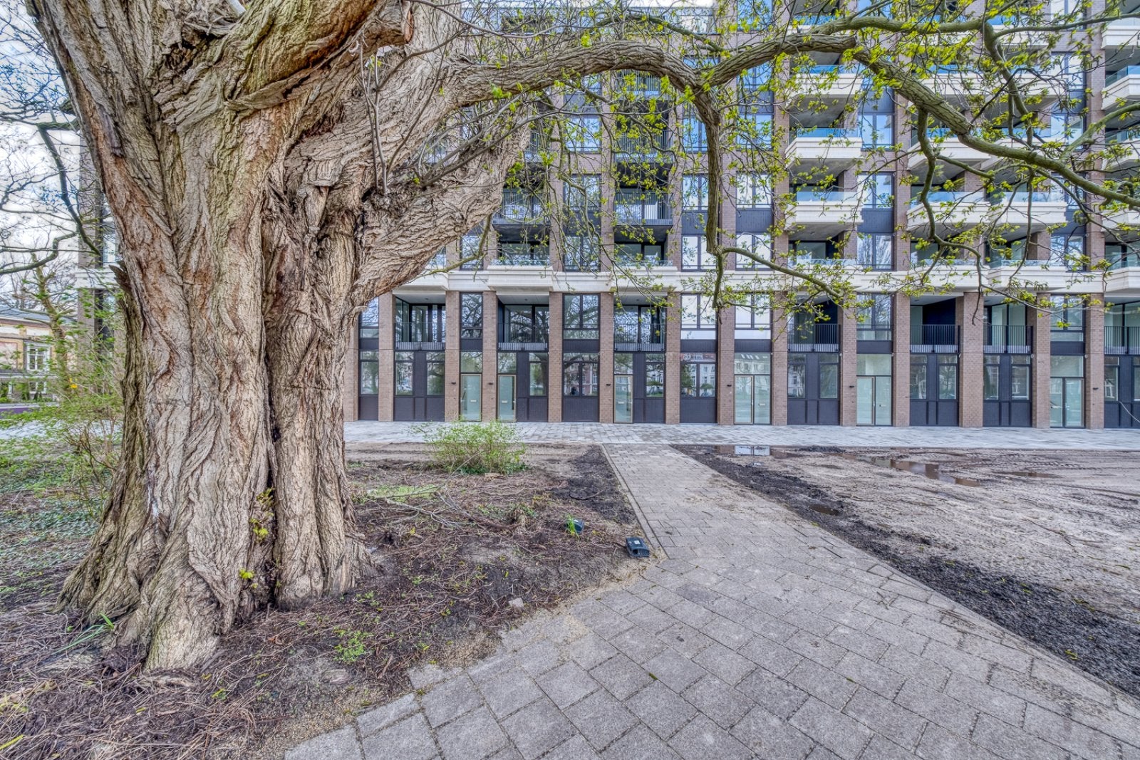 Appartement Plantage Middenlaan in Amsterdam