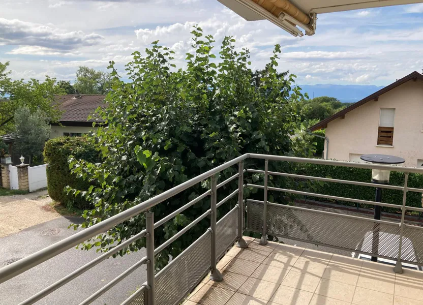 Flat D 1206 in Saint-Cergues