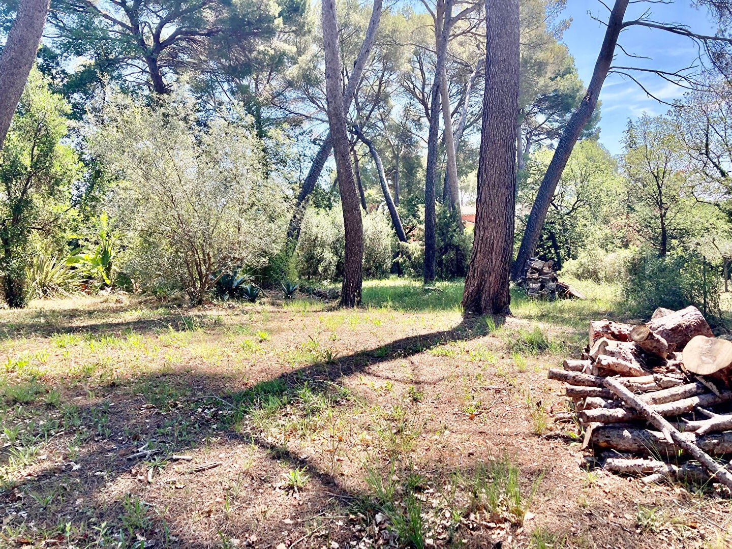Maison Route de la Roquette à Mougins