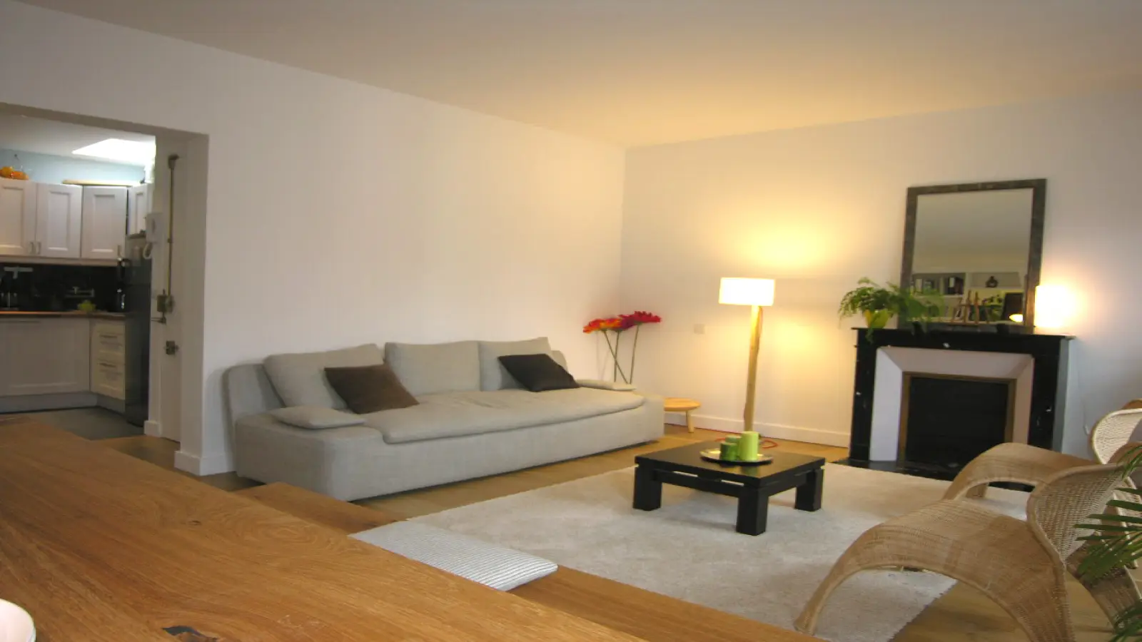 Flat Rue Maublanc in Paris