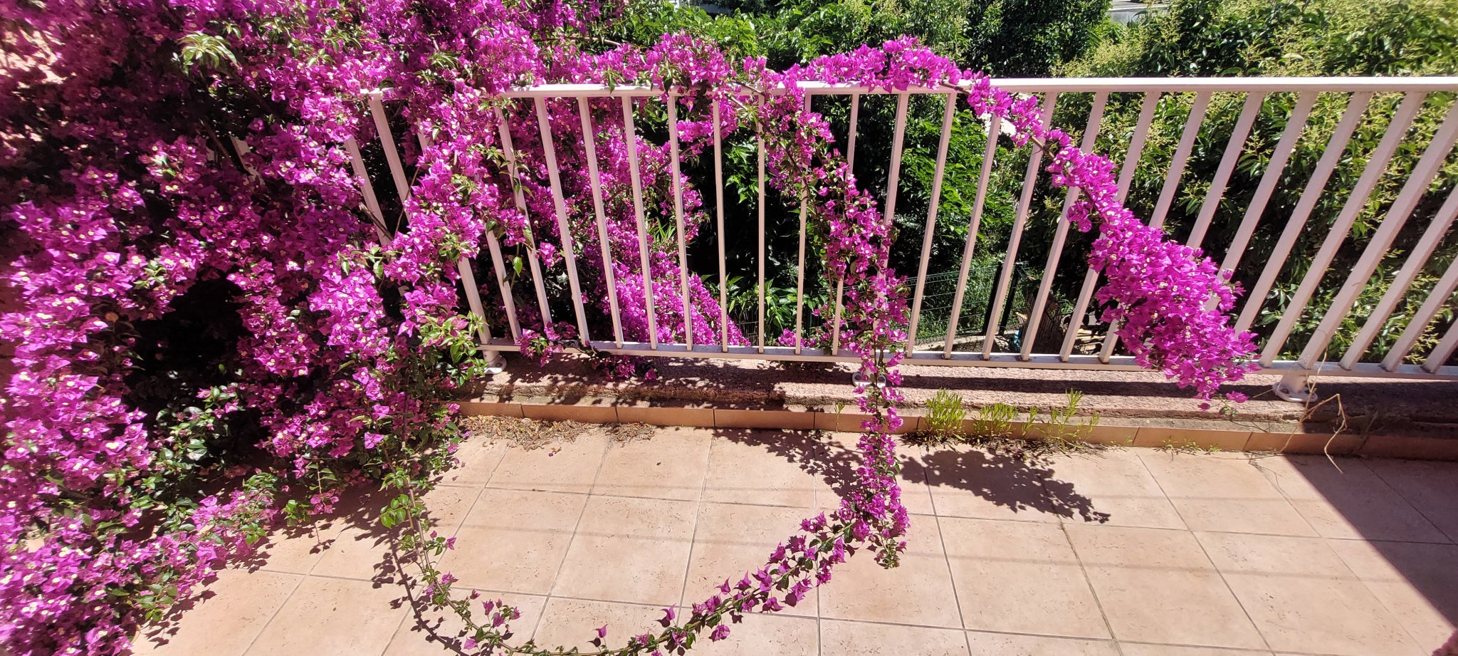 Maison Chemin de la Salut à Pia