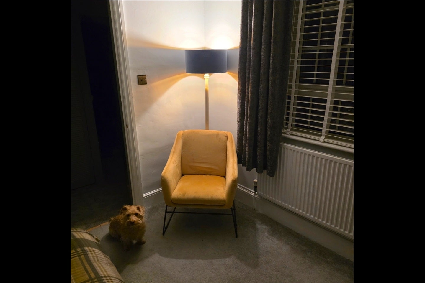 Room Lower Ellacombe Church Road in Torquay