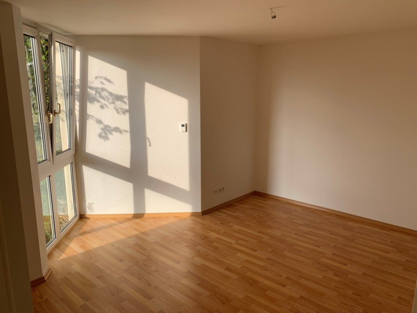 Wohnung Aachener Straße in Dresden