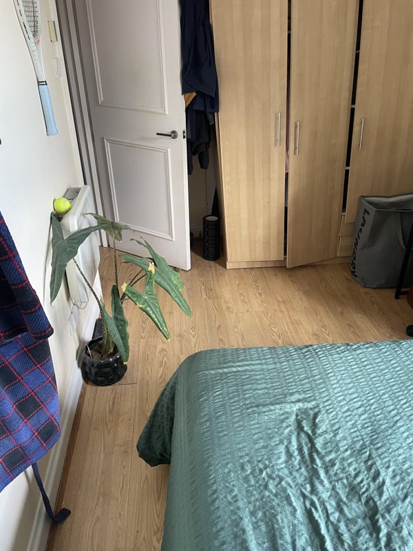 Room Arthur Road in Greater London