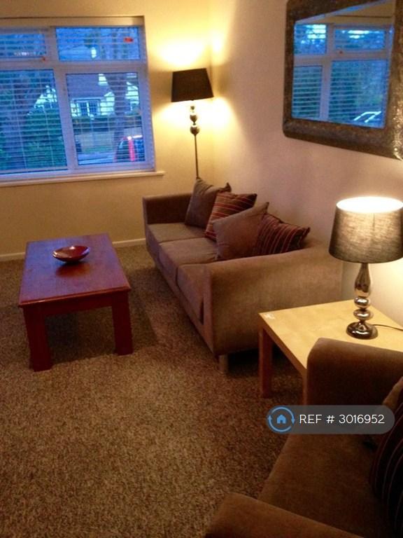 Room Newton Road in Torquay