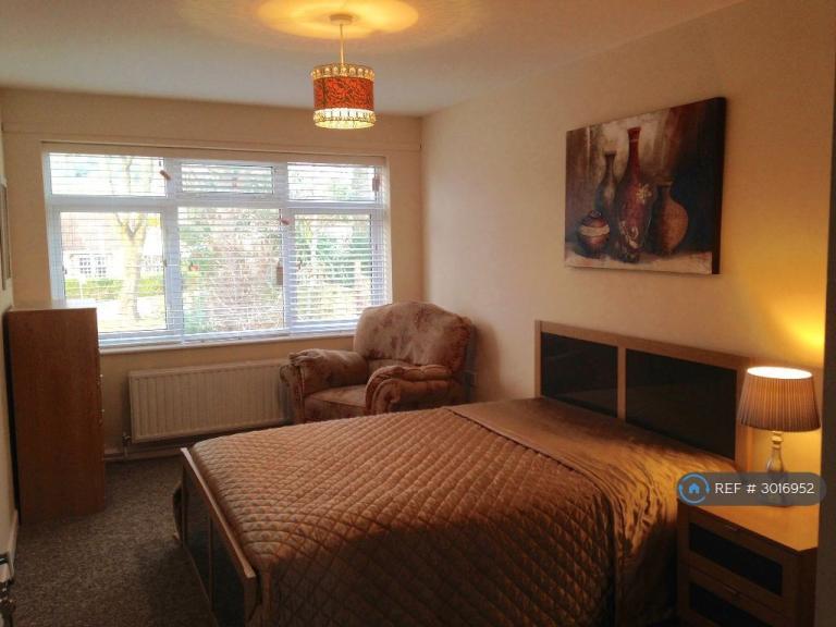 Room Newton Road in Torquay