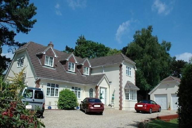 Room Whincroft Drive in Ferndown