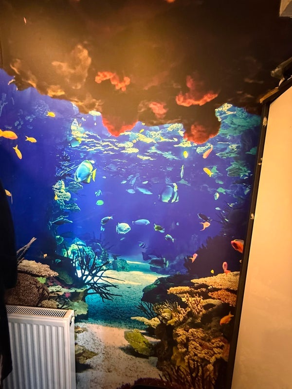 Room The Green in Slough