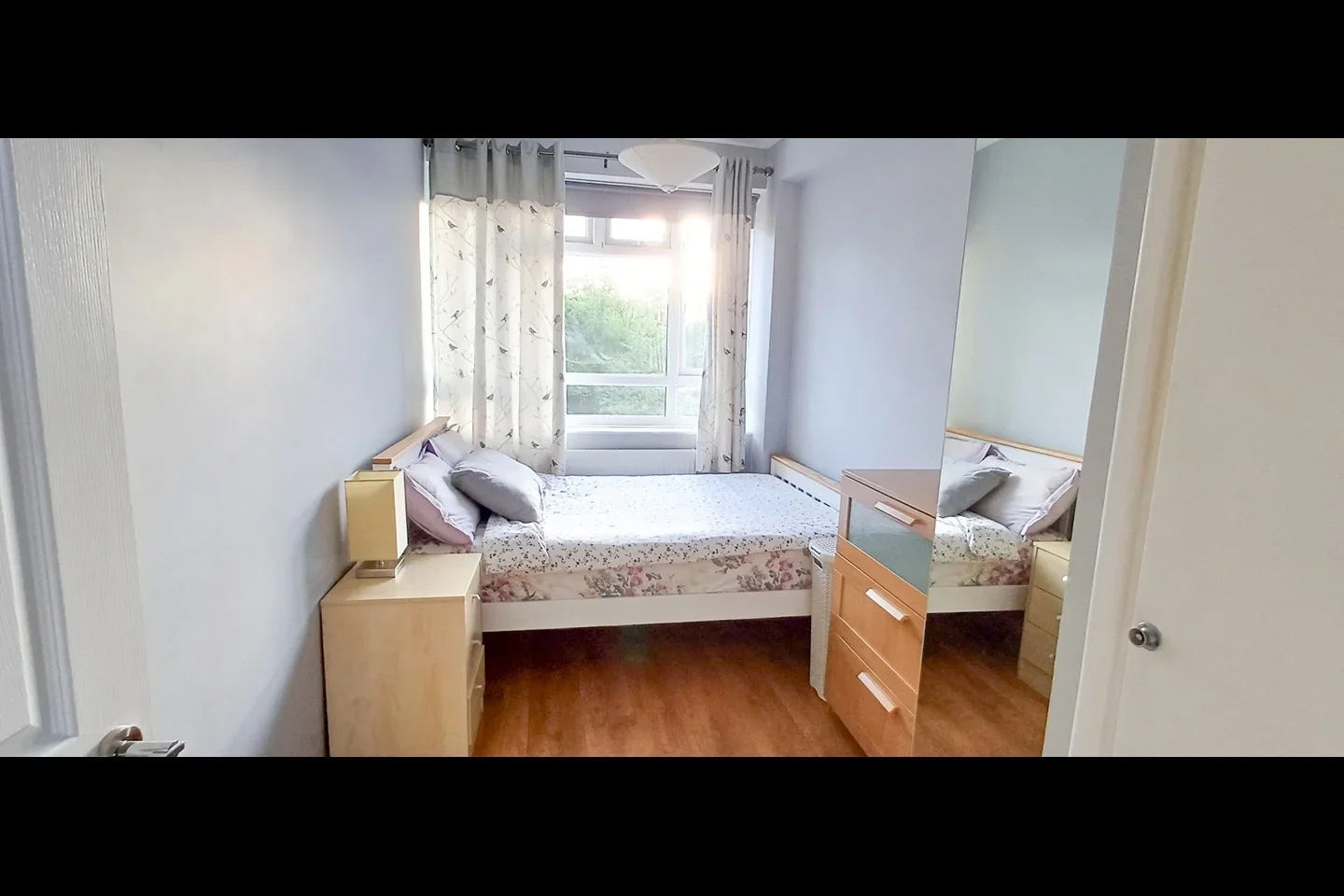 Room Albert Drive in Greater London