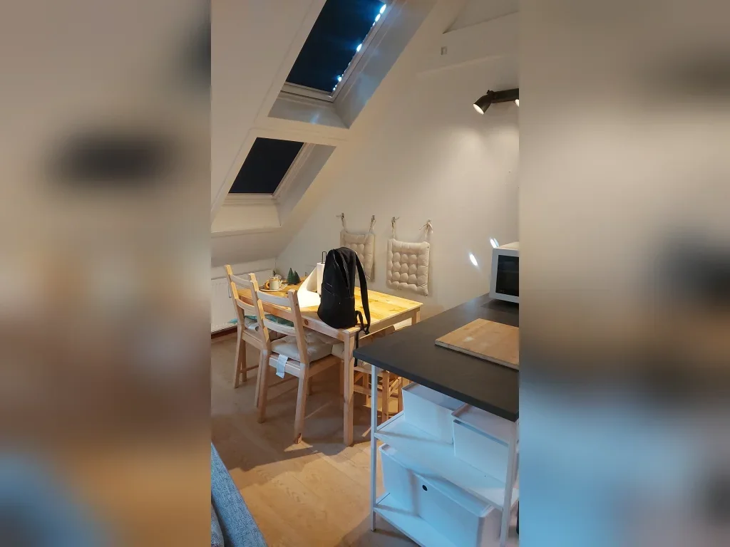 Appartement te huur in Den Haag – Van Swindenstraat – foto 1