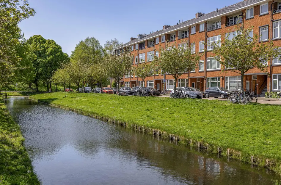 Pasteursingel
