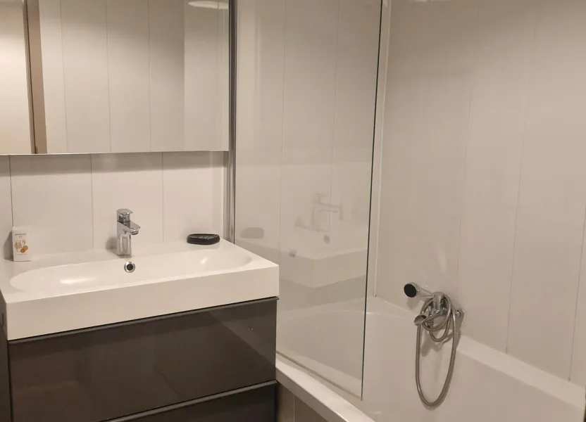 Appartement Rue Franklin à Mulhouse