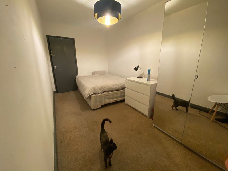 Room Camden Road in Greater London