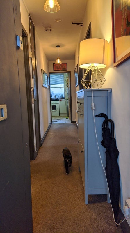 Room Camden Road in Greater London